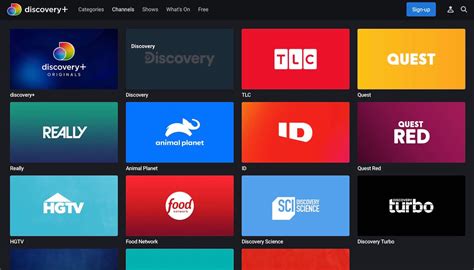 discovery plus chanel|discovery plus includes what channels.